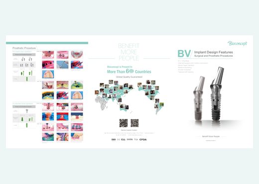 BV Feature Flyer